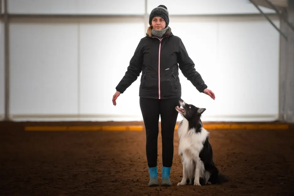 Praca w parze: przewodnik i border collie